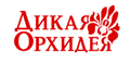 Дикая Орхидея
